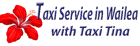 Taxi Service in Wailea Taxi Tina 808-298-1877